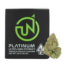 indica9.jpeg